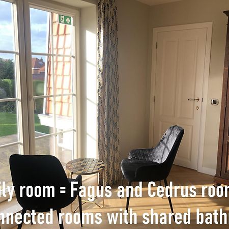 Cedrus Bed & Breakfast Jabbeke  Exterior photo