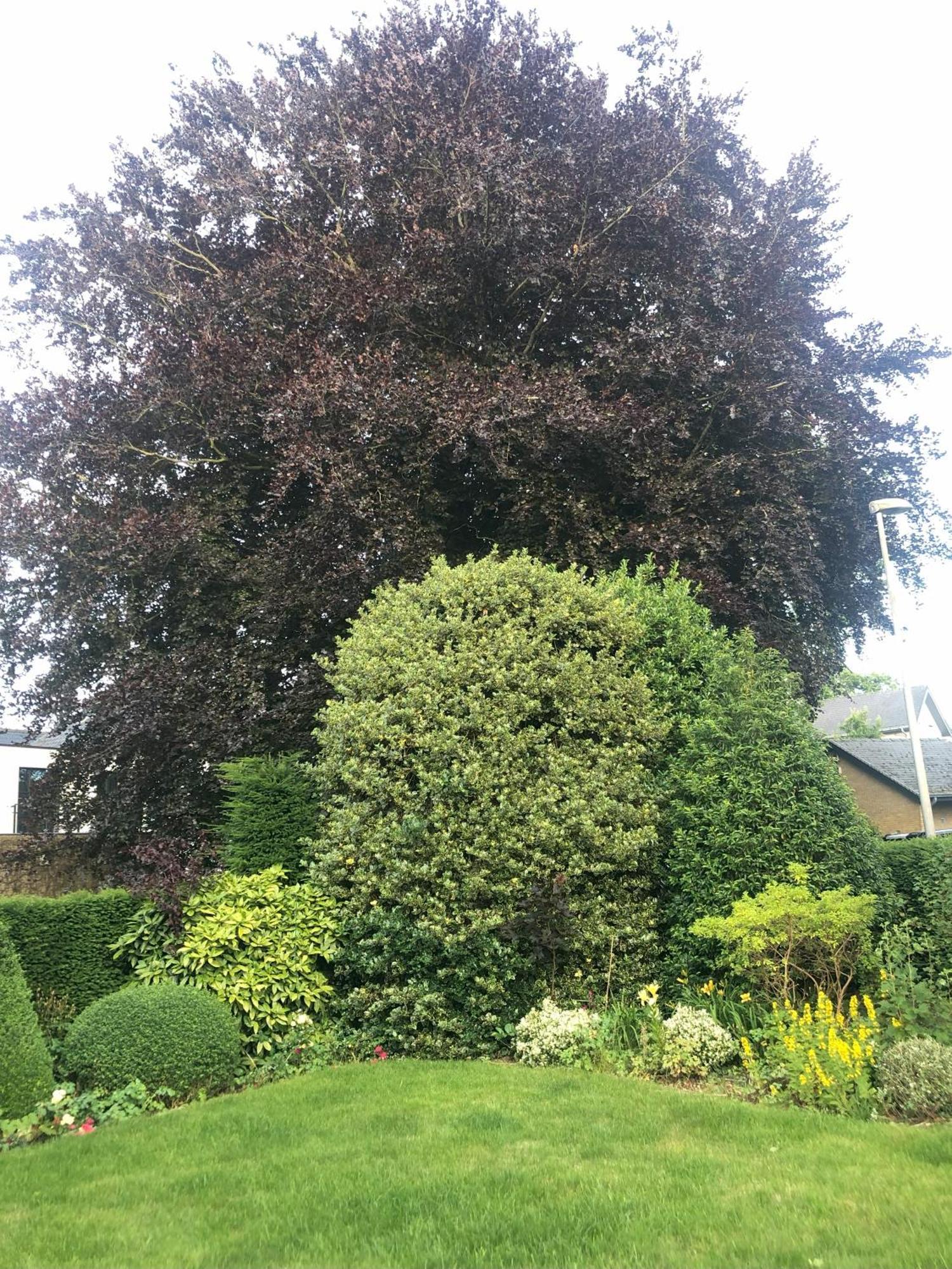 Cedrus Bed & Breakfast Jabbeke  Exterior photo